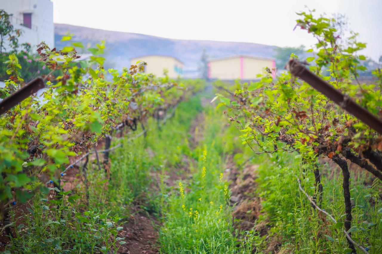 V Resorts Soma Vine Village Mahiravani Экстерьер фото